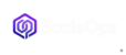 ScaleOpsHQ